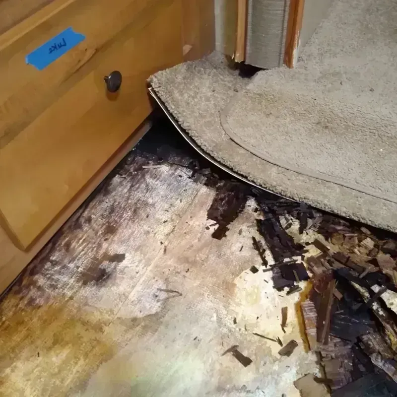 Wood Floor Water Damage in South San Francisco, CA